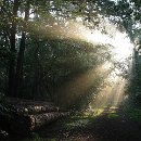 FGM 036 Motzko Josef